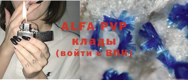 эйфоретик Беломорск