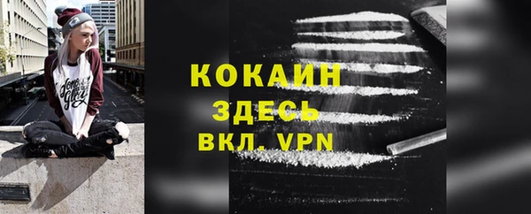 стаф Аркадак