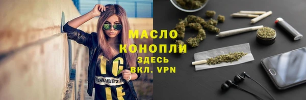 стаф Аркадак
