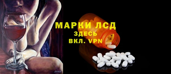 стаф Аркадак