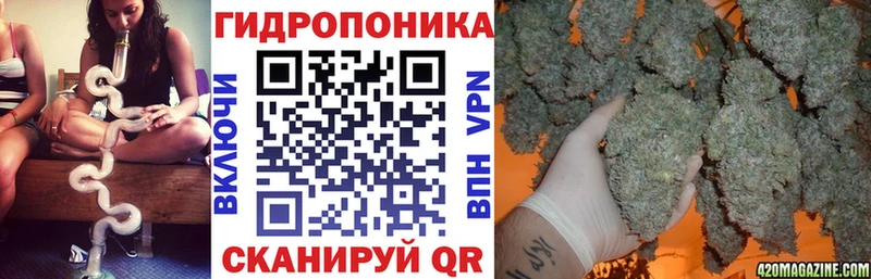 Марихуана конопля  Ухта 